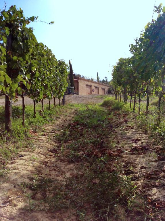 Casa Vacanze